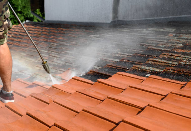 Professional Pressure Washing in Brownsville, PA