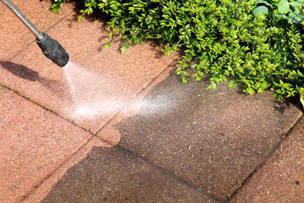 Best Local Pressure Washing Services  in Brownsville, PA